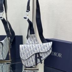 Christian Dior Saddle Bags